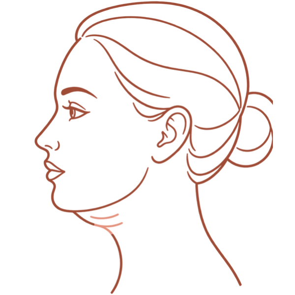 Illustration of a profile marking the neck for Thermage FLX skin tightening in London